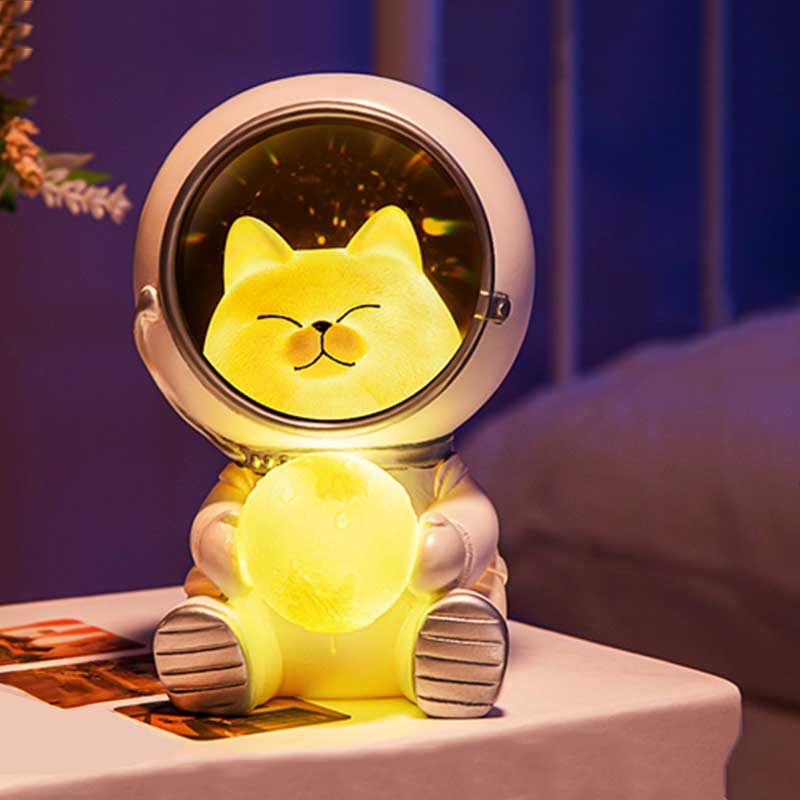 Luminária Pet Astronauta LED